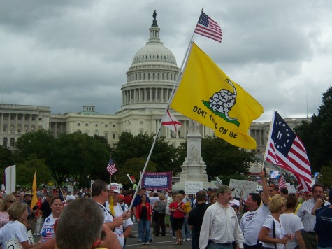 Tea Party Patriots to Organize Mass 'Audit the IRS Rally' in D.C.