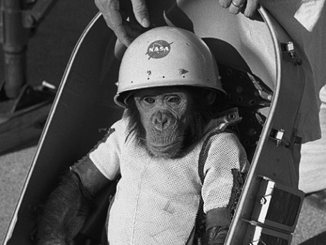 And THIS Is Why Monkeys Still Get Sent To Space