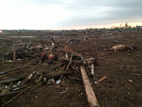 At Least 150 Horses Killed By Oklahoma Tornado