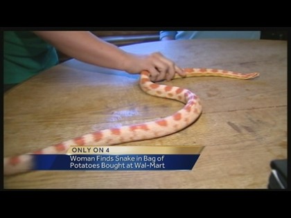 Woman Finds Snake in Bag of Potatoes, Told To Bring To Lawn And Garden Dept.