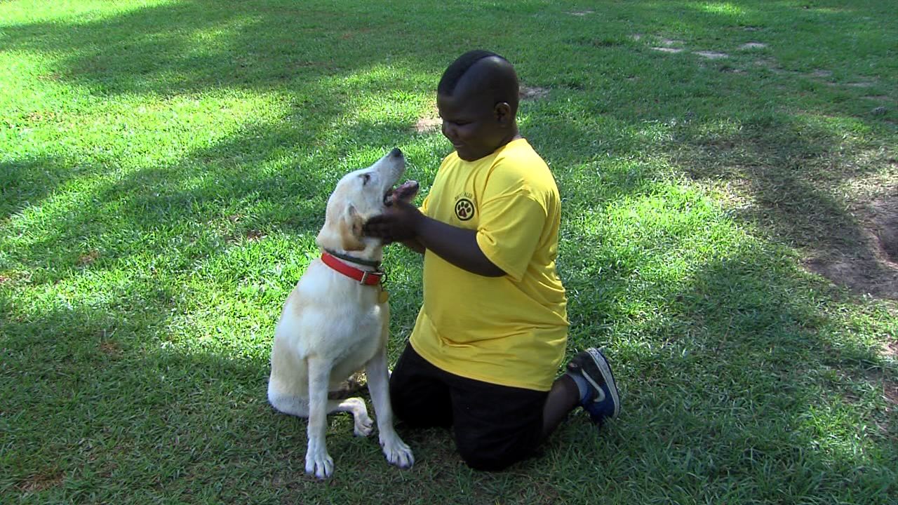 Dog Diagnoses Diabetes In 7-Year-Old