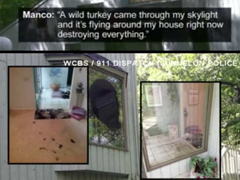 New Jersey Home Trashed By Wild Turkey