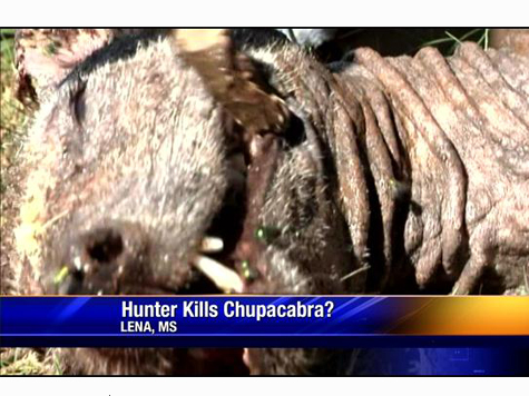 VIDEO: Man Claims To Have Killed Mythical Chupacabra