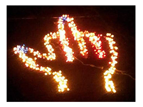 Woman Gives Neighbor the Middle Finger in Xmas Lights