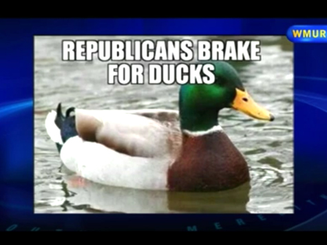 Democratic Lawmaker Admits Mowing Down Flock of Ducks with BMW