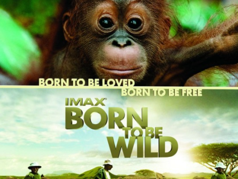 'Born To Be Wild' Blu-ray Review: Cute Animals, Gorgeous Scenery