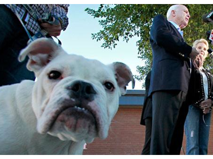 McCain: Mr. President, My Son's Dog Isn't On The Menu